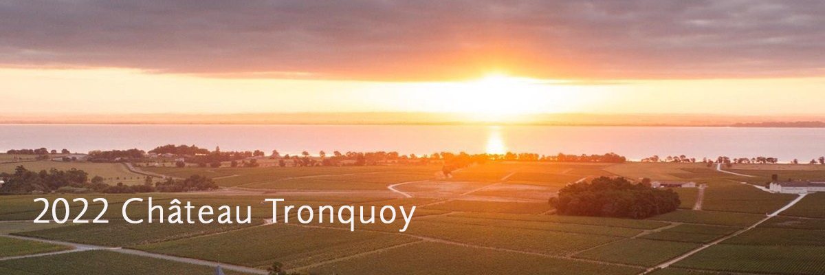 2022 Château Tronquoy